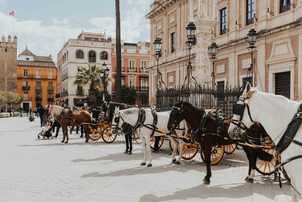 the cozy streets and horse carriages in seville, spain