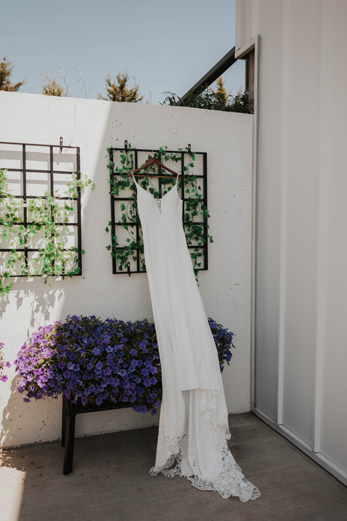 wedding dress hanging in a natural setting for a destination wedding