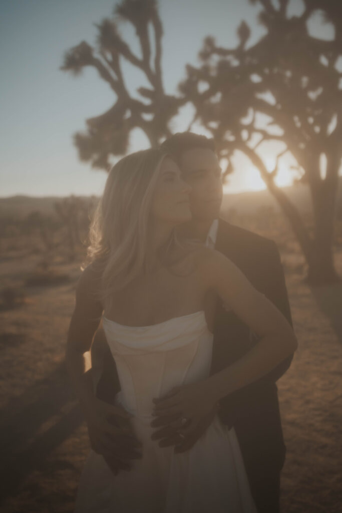 Nontraditional wedding in Joshua Tree National Park, California