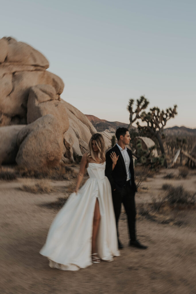 Nontraditional Wedding in Joshua Tree National Park