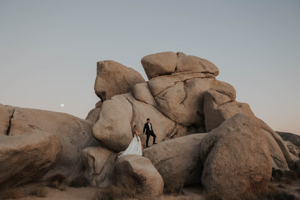 Nontraditional Wedding in Joshua Tree National Park