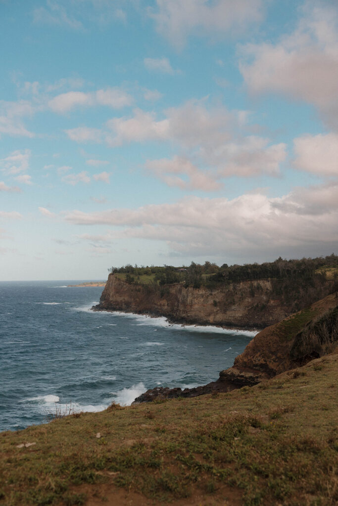 Surprise Proposal in the Cliffs of Kapaau, Hawaii