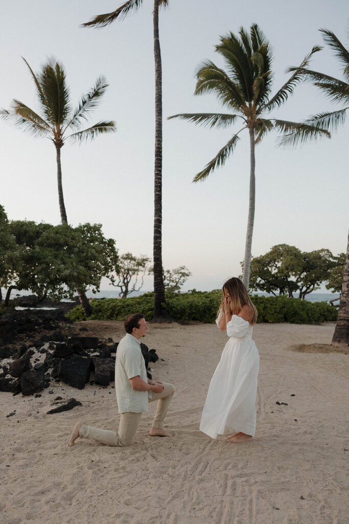 Kikaua Point Couples Photoshoot Turned Surprise Proposal