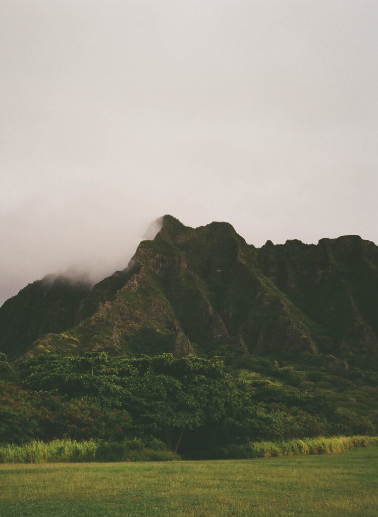 film photography for a couples session in Oahu Hawaii