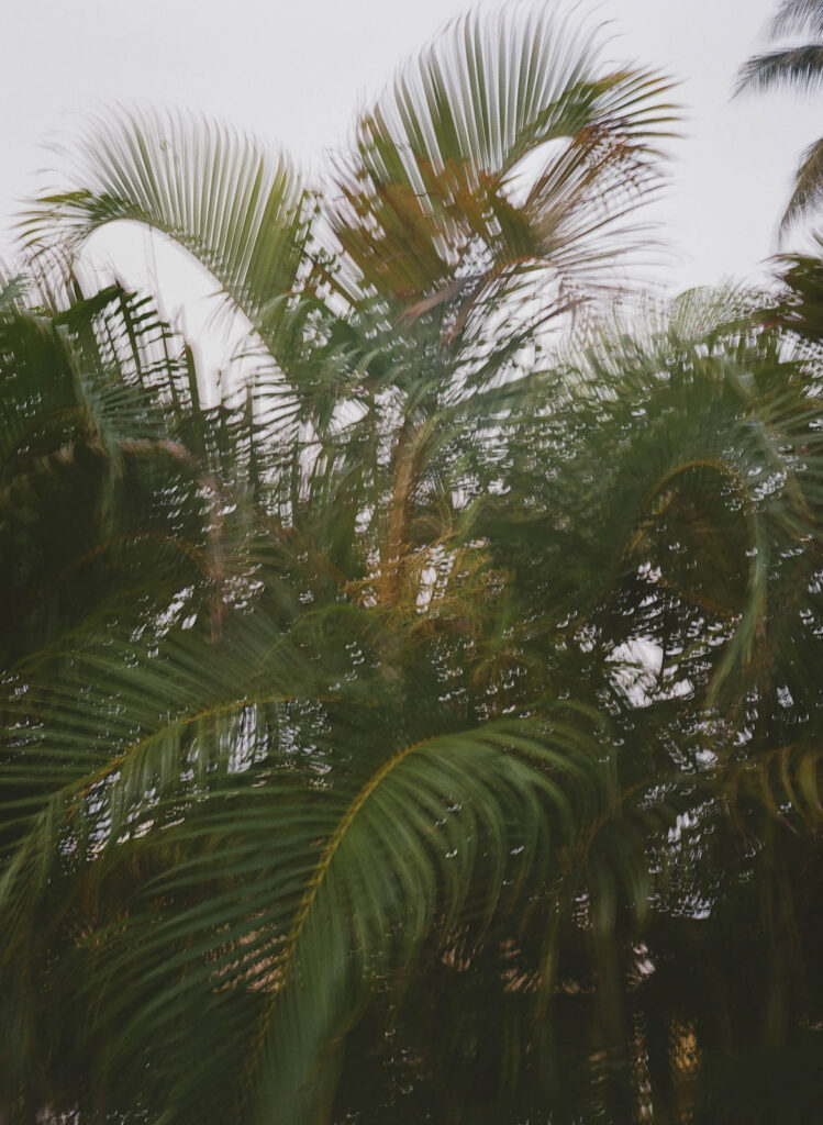 film photography for a couples session in Oahu Hawaii