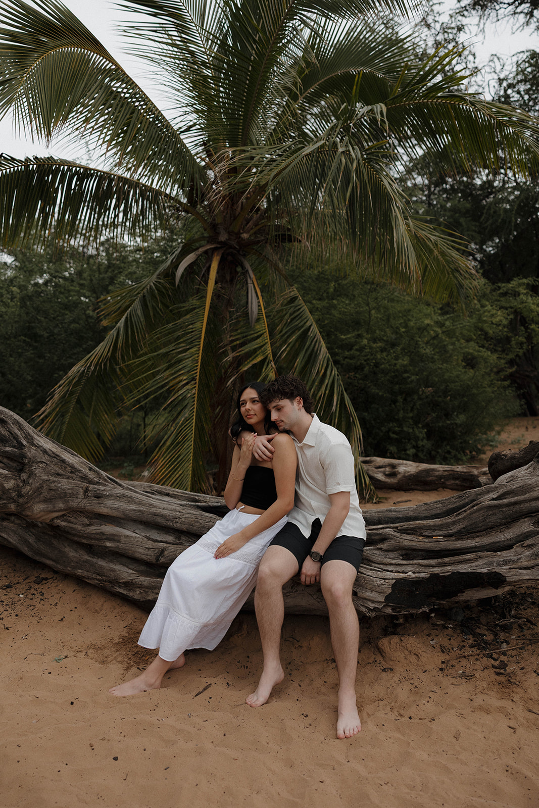 a couple sitting on a tree on the beach with palm trees behind them 