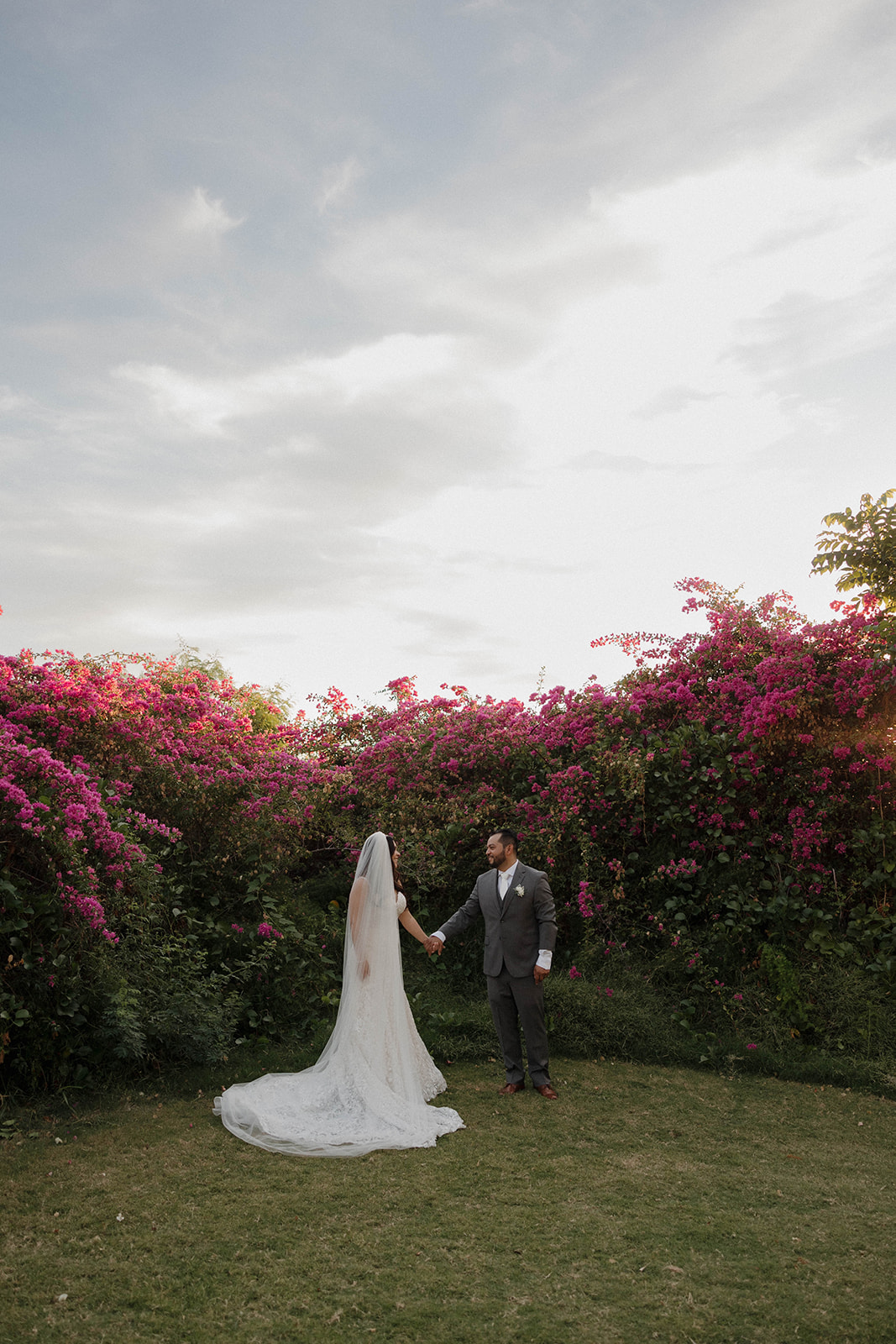 bride a groom portraits in front of bright pink floral bushes 