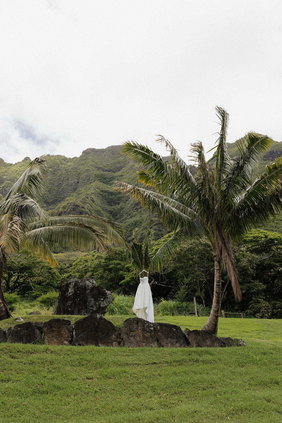 White strapless wedding ball gown hanging from a palm tree in front of volcanic rocks and the lush Ko'olau mountains on a cloudy Hawaiian day