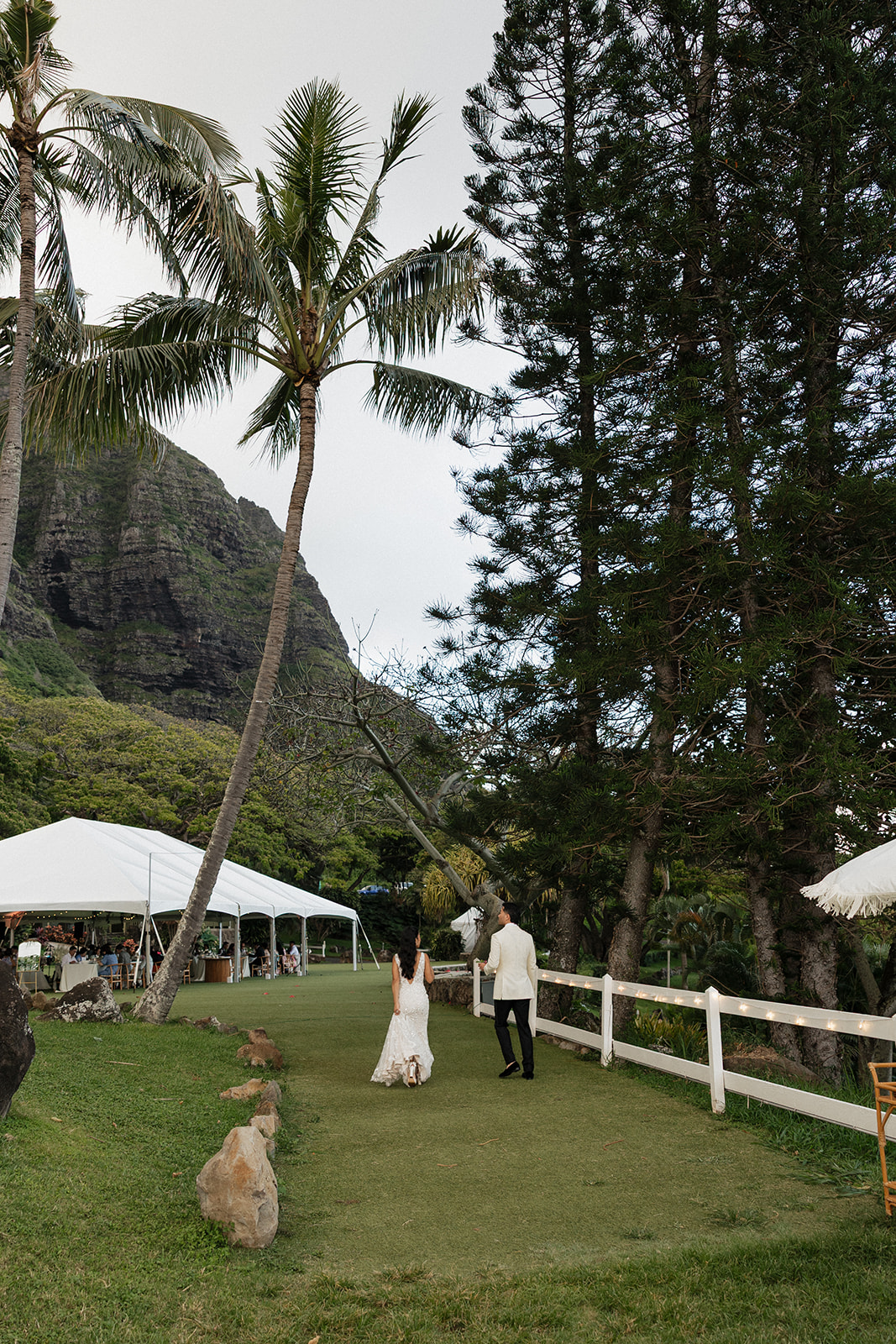 Bride and groom walking toward a white reception tent at dusk, flanked by soaring Norfolk pines and coconut palms with a dramatic mountain peak visible overhead
