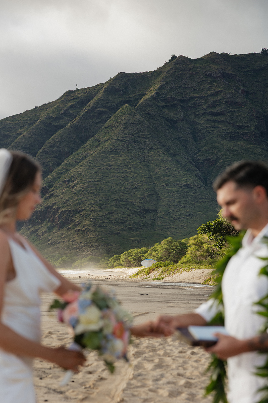 Bride and groom exchanging vows on the beach, mountain ridgeline framing the shoreline in the background.