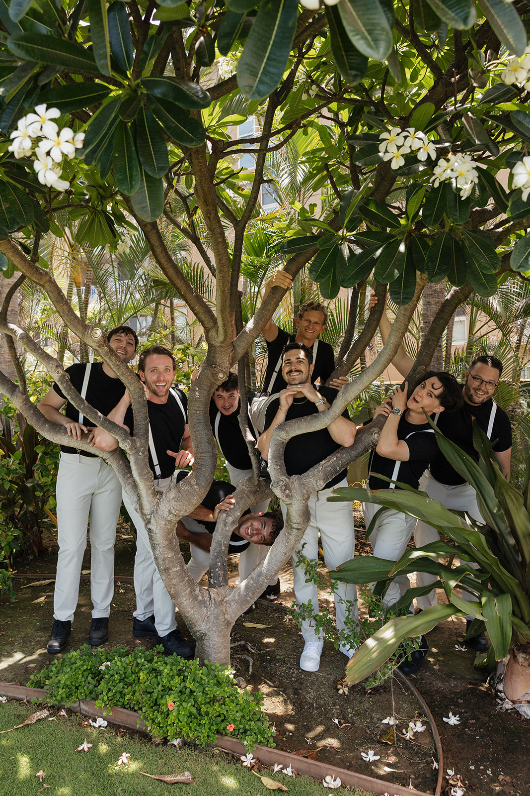 Groomsmen pose playfully in a blooming plumeria tree at this Maui wedding venue, full of laughter and candid energy.