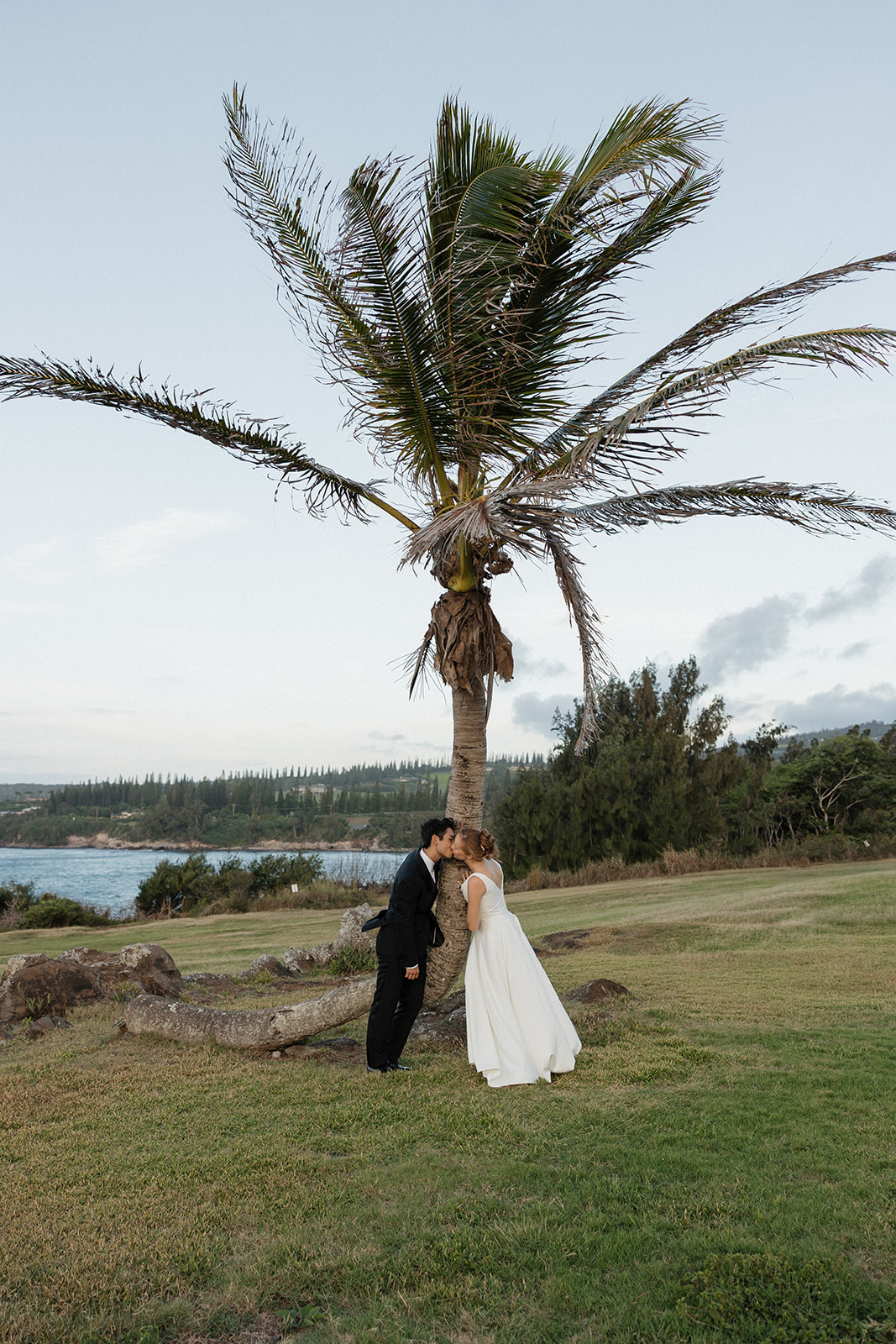 Bride and groom kissing beside a leaning palm tree with ocean views near the Maui Pineapple Chapel.